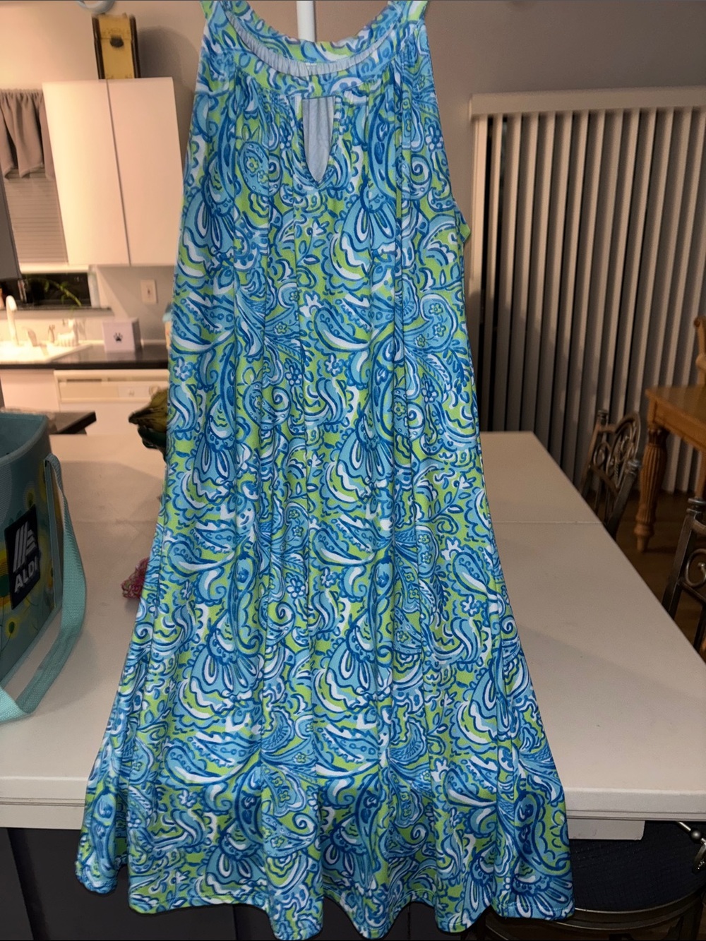 Women’s Blue & Green Paisley One-Piece Dress